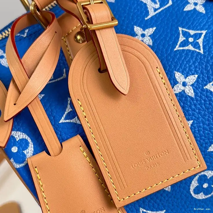Brother sam 2401YA0022 LV Bags 0717